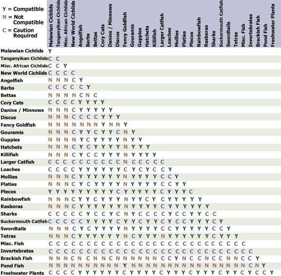 chart compatibility